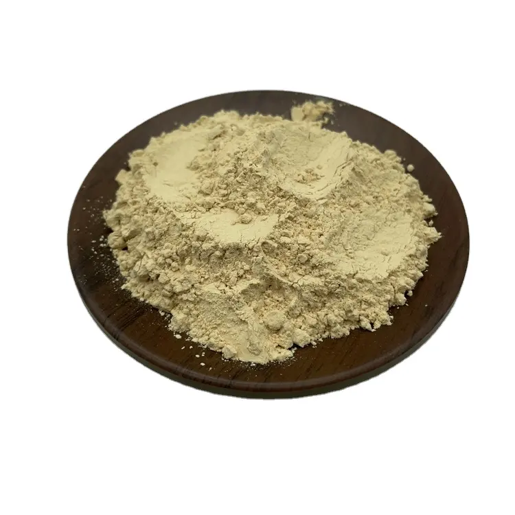 Extrait de ginseng rouge Saponine 80% poudre extrait de ginseng panax