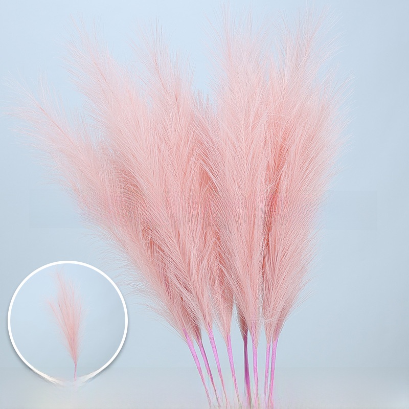 6 reed feathers/1 reed