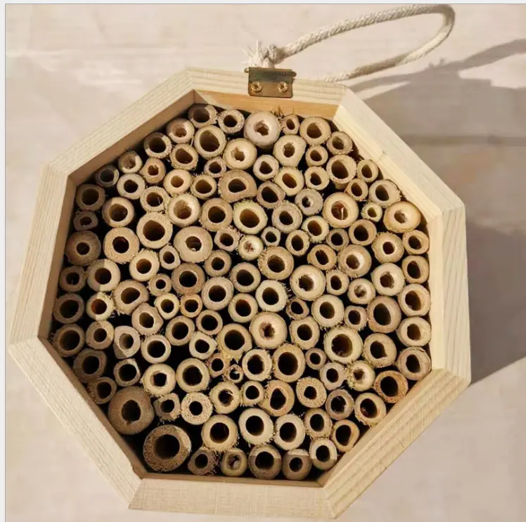 Môi trường sử dụng bền vững của gỗ côn trùng ong nhà gỗ tự nhiên côn trùng khách sạn nơi trú ẩn vườn làm tổ hộp