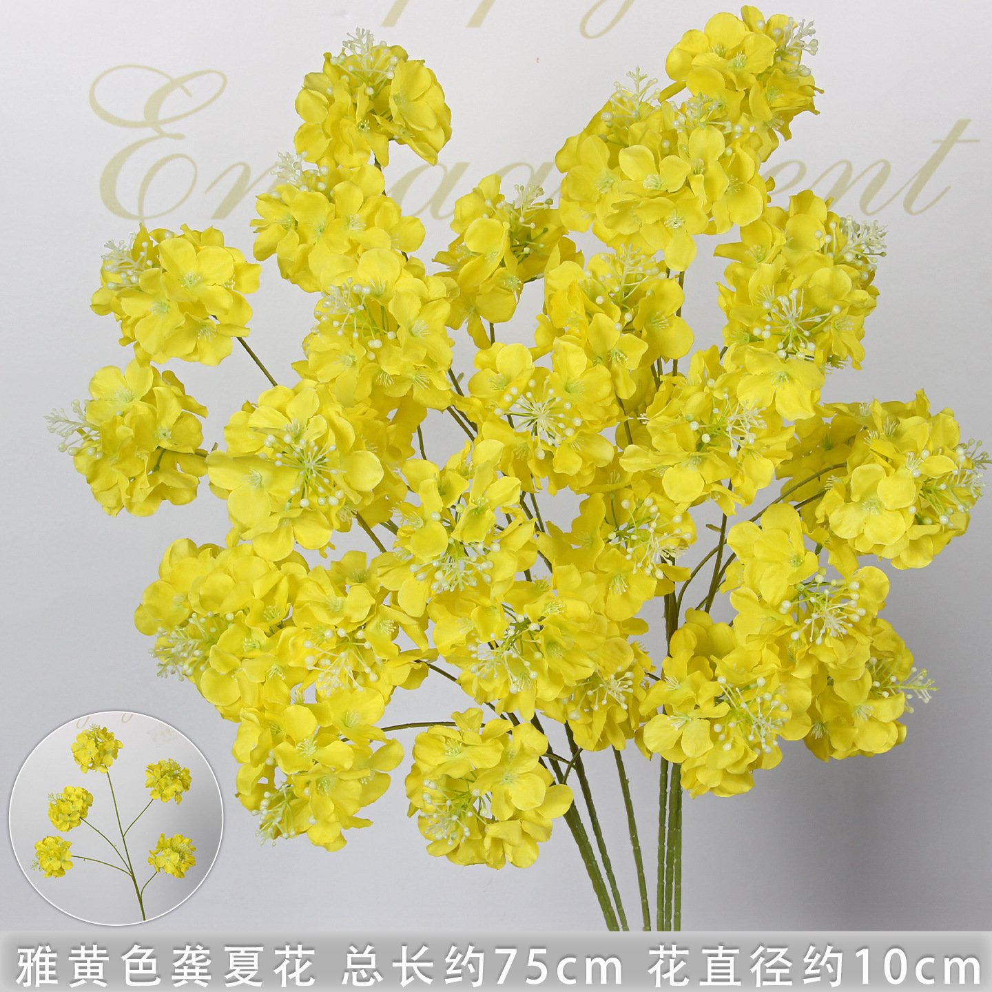 Élégante branche Gongxia jaune à 5 têtes.