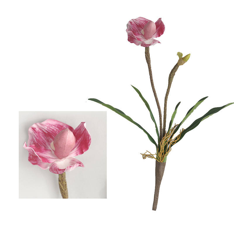 สีชมพูเข้ม