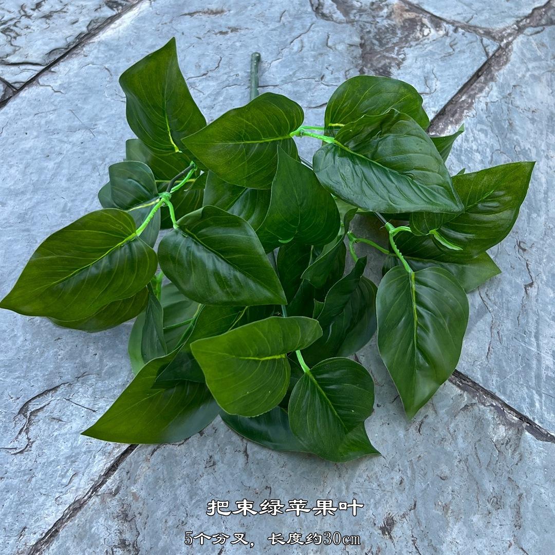 Bundle of green apple leaves