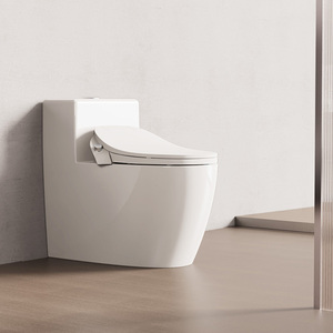 Advanced Japanese WC-<strong>Bidet</strong> Cover With Remote Control Function Toilet <strong>Bidet</strong> - Product Image 1