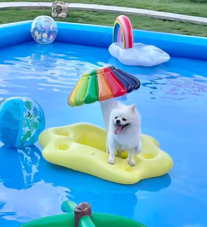 Parapluie arc-en-ciel en PVC épaissi de haute qualité, expédition rapide