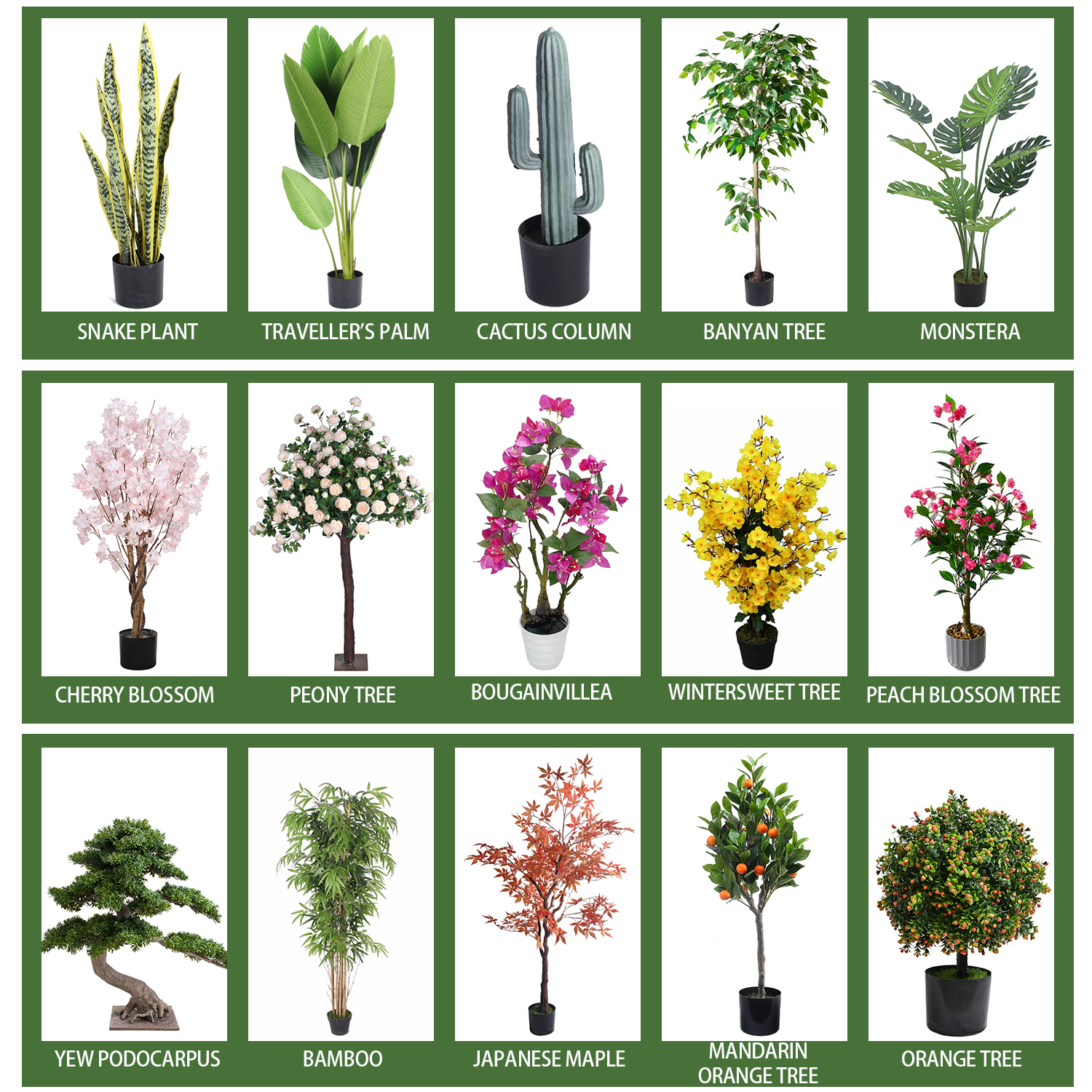 ต้นไม้สีเขียว 4