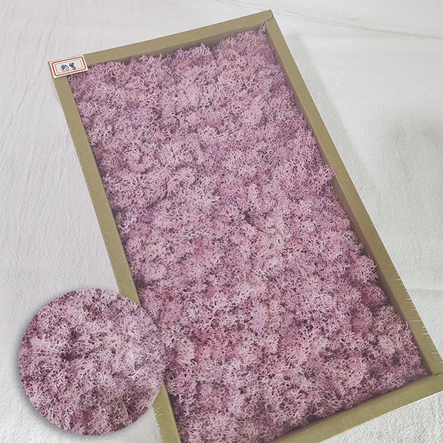 Pink-purple
