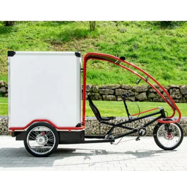 Carico pesante di Alluminio Cargo Box 1000Watt Motore Elettrico A Tre Ruote Assistere Cargo Trike per la Vendita