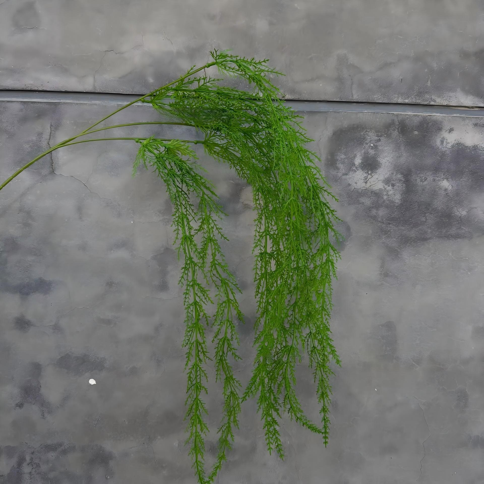 Verde chiaro