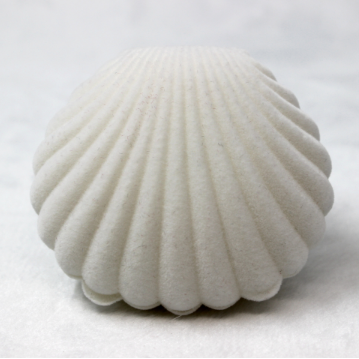 Blanco shell caja 6.8x5.5x3cm
