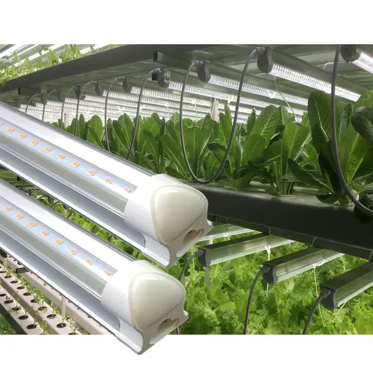 Đèn Led Trồng Cây 4't8 Tốt Nhất 2021, Đèn Uv 1200Mm Tube8 Veg Chiếu Sáng Tăng Trưởng Thực Vật Cho Vườn Trong Nhà