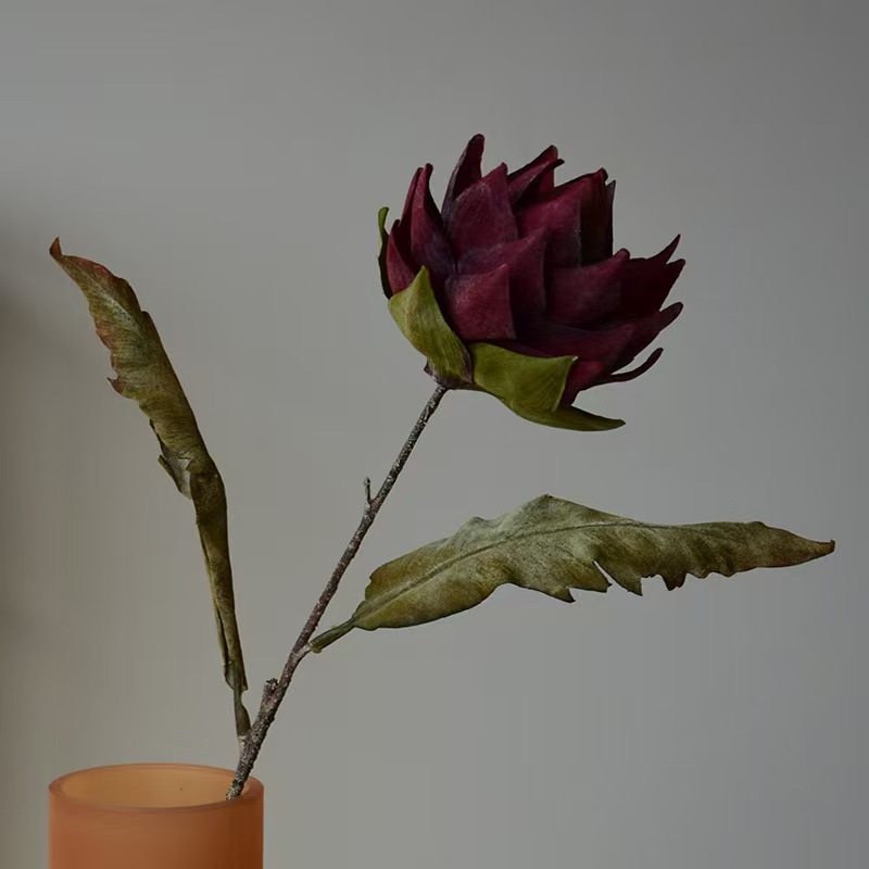 Rojo