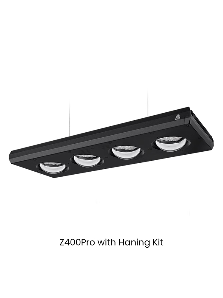 Z400 Sea con Kit de Colgante