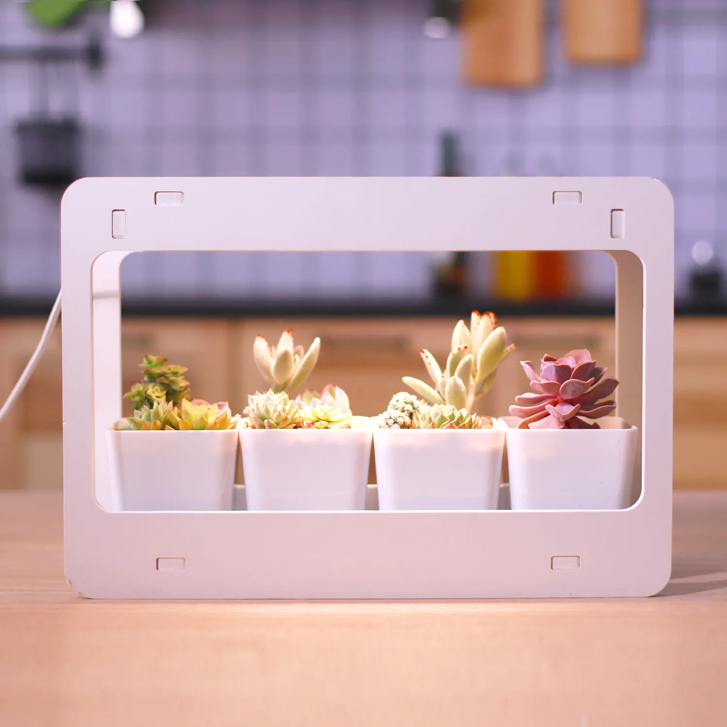 J & C Eragon Mini Garden Kit de jardín interior inteligente Basic Indoor Herb Garden White Full Spectrum Grow Light para cultivo de interior