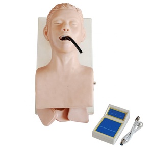 Intubation Manikin Hospital Advanced <strong>Human</strong> Trachea Intubation Model - Product Image 2