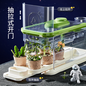 小学生のためのDIY温室野菜観察ボックスセット科学 & 工学玩具 - Product Image 2