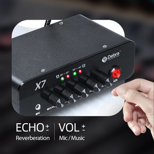 Karaoke Wireless <strong>Microphone</strong> System with Reverberation DSPBT5.0 Optical <strong>Input</strong> and <strong>Output</strong> Interface