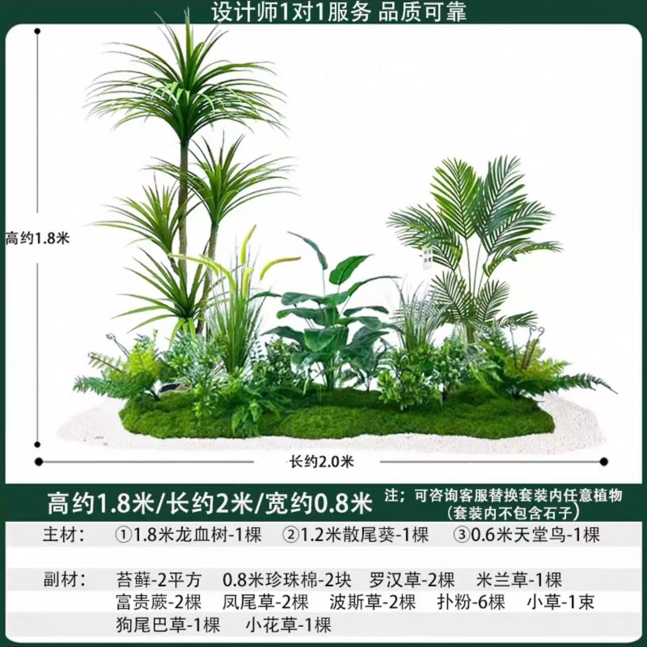 dracaena reflexa 2mlong
