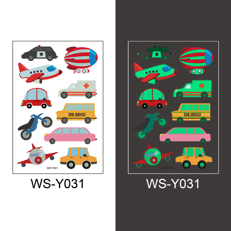 WS-Y031