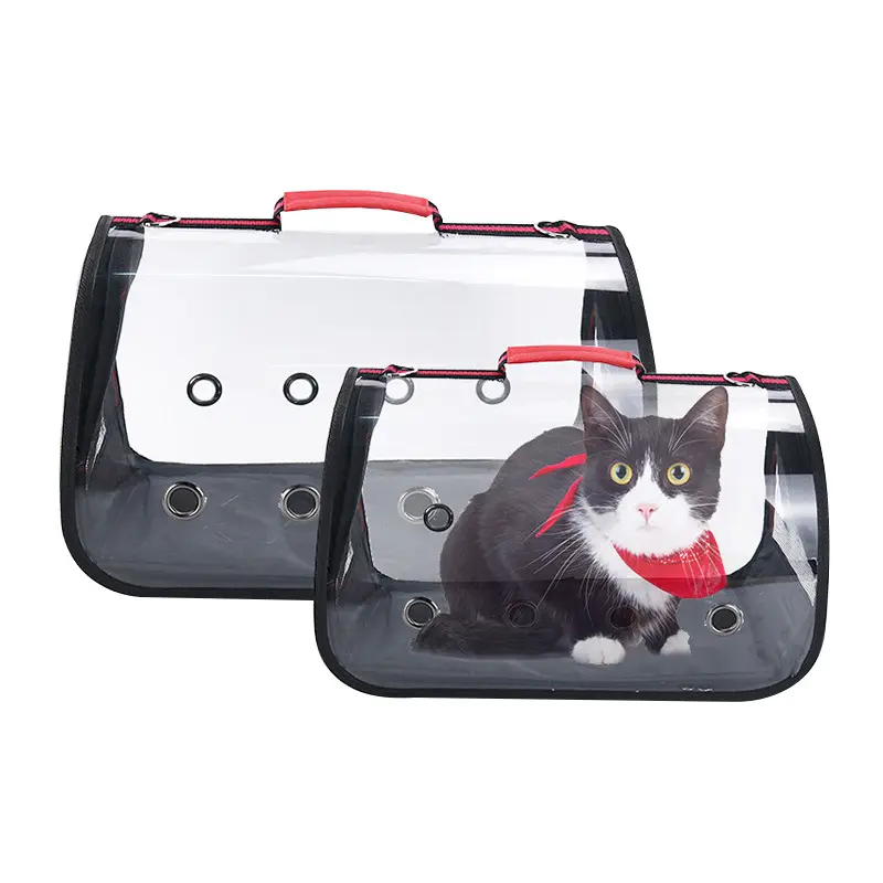 Benzersiz Pet köpek kedi kuş papağan seyahat taşıyıcısı çanta kaliteli şeffaf kuşlar yavru köpekler kediler sırt çantası Pet malzemeleri