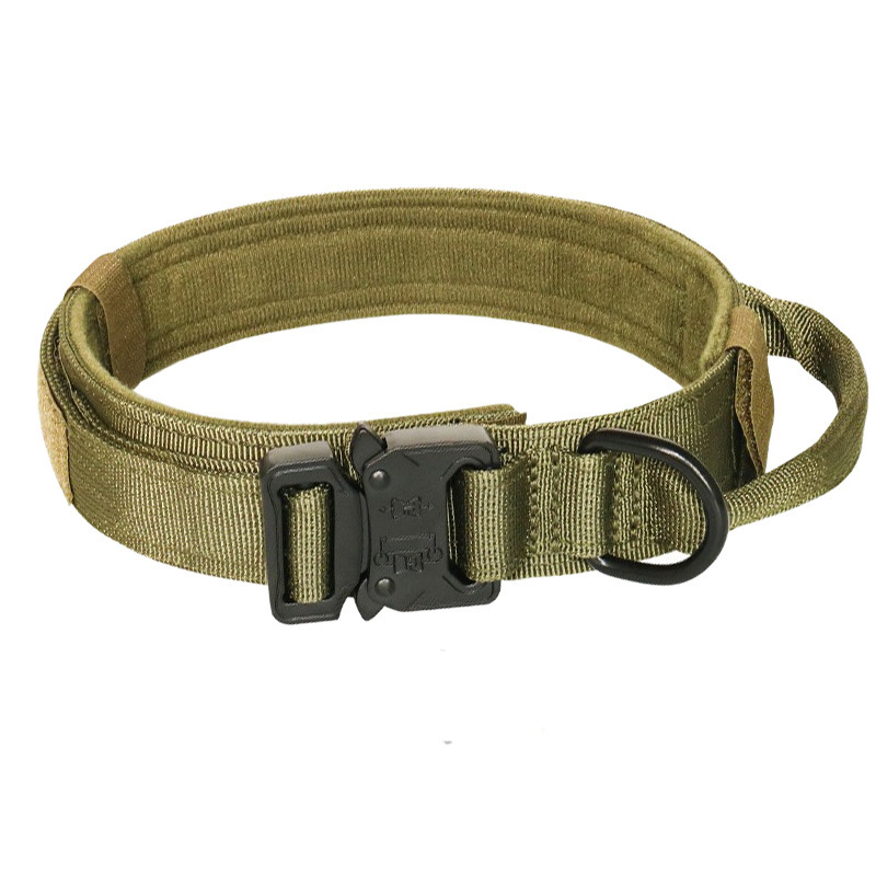 Cuello verde militar de Amazon