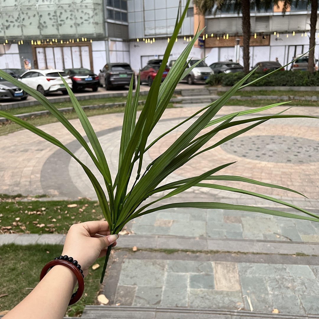 Orquídea de 7 ramas verde hierba