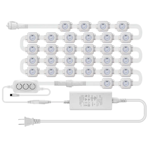 Permanent Christmas Track <strong>Lights</strong> 30mm RGB <strong>LED</strong> <strong>IP67</strong> Outdoor Waterproof Pixel <strong>Led</strong> Point <strong>Light</strong> Source Eave Rgbw <strong>Light</strong>