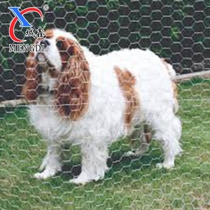 1/4 "-2" Aperture Pvc Coated Galvani zed Hexagonal Chicken Animal Fence Eisen Sechseckige Drahtgitter rolle - Product Image 2