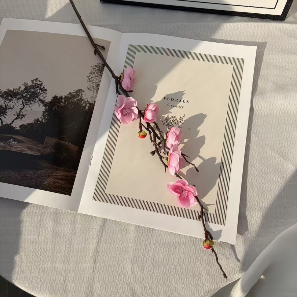 Fleur de prunier Ruyi, rose