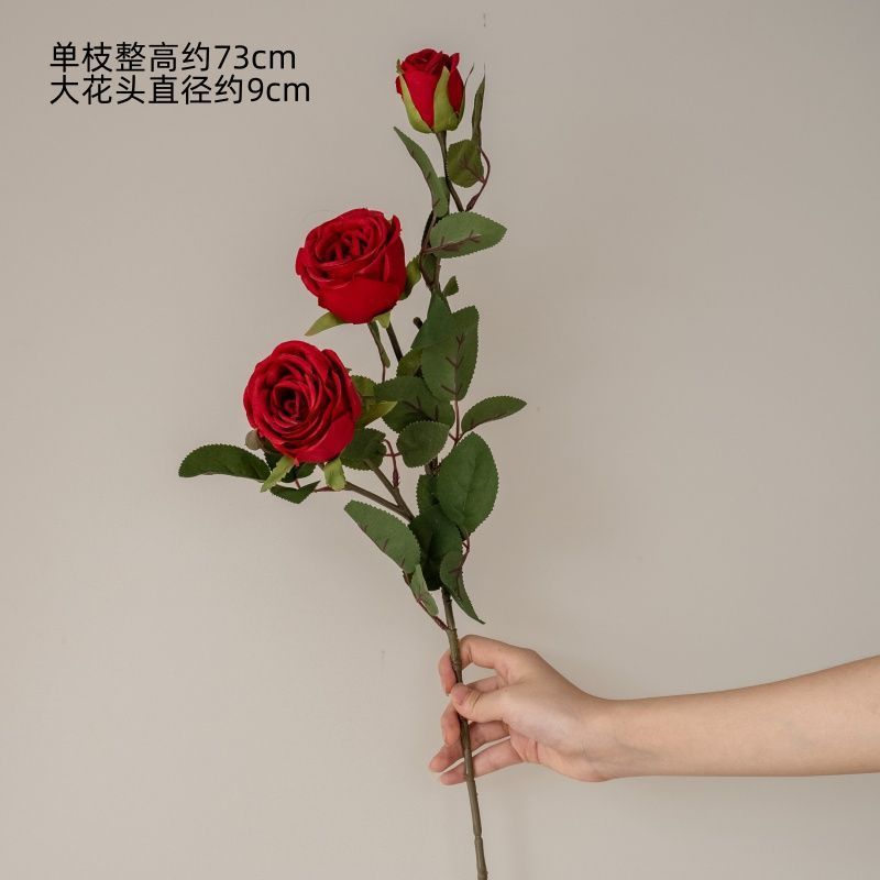 Une rose ronde rouge à trois têtes