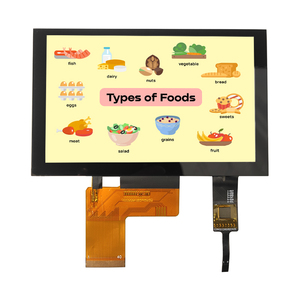 Interfaz RGB de 5,0 pulgadas IPS A-Si TFT LCD Módulos GT911 Panel de pantalla de hogar inteligente capacitivo con resolución de 800x480 - Product Image 1