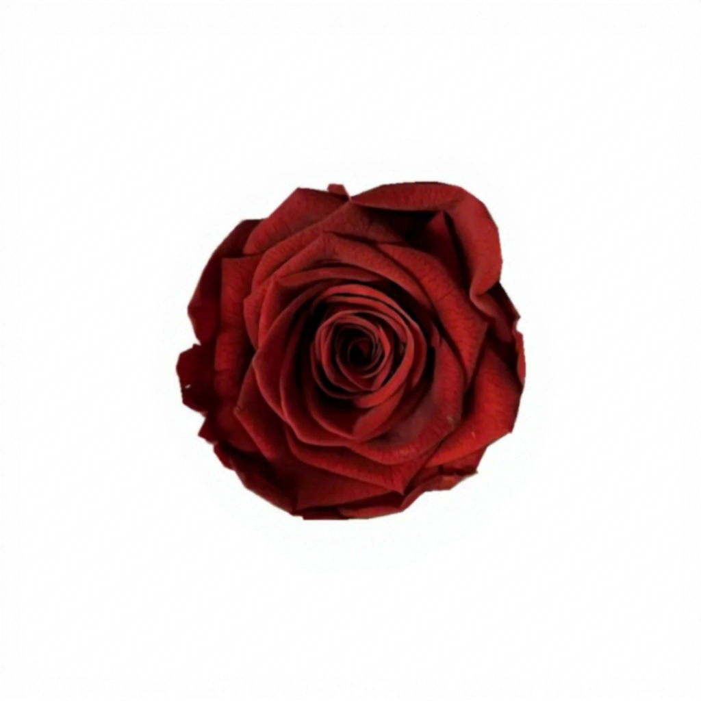 Rosso scuro Grado B