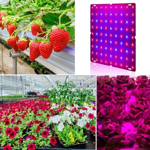25W 45W 169发光二极管全光谱生长灯美国欧盟英国插头室内植物花多汁紫外线生长面板灯