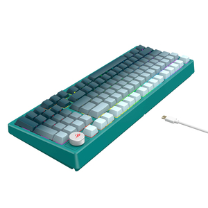 Havit KB899L 97 teclas Rainbow LED retroiluminado verde ordenador USB teclado para juegos con cable iluminación colorida Teclado mecánico para PC