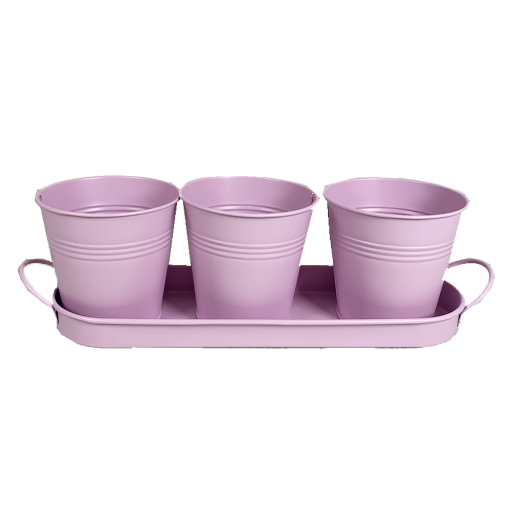 Violet foncé