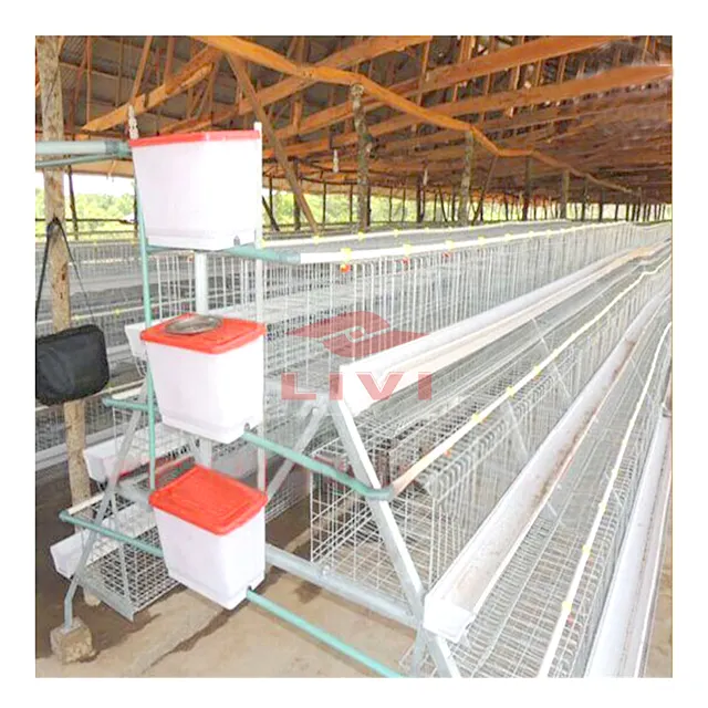 Layer Battery cage system Price poultry for manual chicken Layer Cage in Nigeria Ghana Uganda poultry chicken Farming