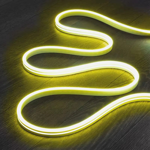 RGB Neon LED şerit IP65 peyzaj uygulamaları için puan - Product Image 1