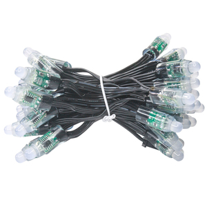 Gouly卸売屋外LEDフルカラーピクセルストリングライト12mmdc12v ip68ピクセルLEDモジュール照明ストリング - Product Image 6