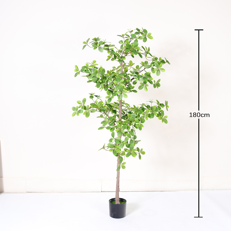 180cm