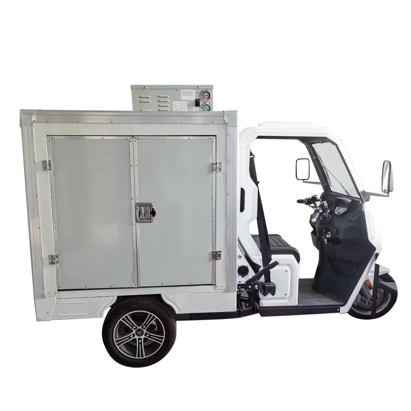 Sorvete triciclo congelado, geladeira integrada 1000w 3 rodas triciclo elétrico com unidade de resfriamento
