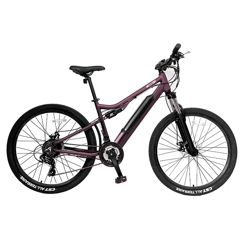 E-bike MTB 28 Zoll mejor ciclo eléctrico bajo precio EV MTB bicicleta eléctrica bicicleta de montaña más barata