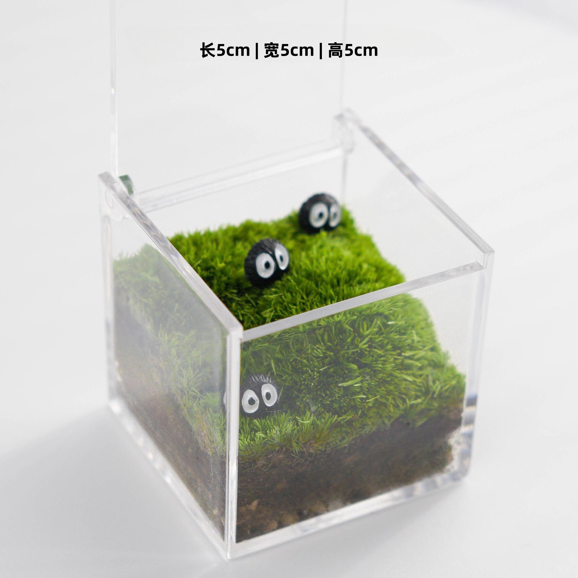 Standard version (5x5x5cm coal briquettes grass)