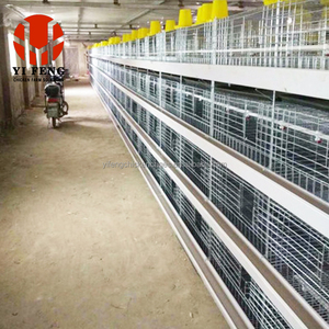 Maliyet-etkin katman kafes sistemi tavuk horoz kafes et Broiler tavuk kafesleri satılık 4 katmanlı tavuk kafesi - Product Image 4