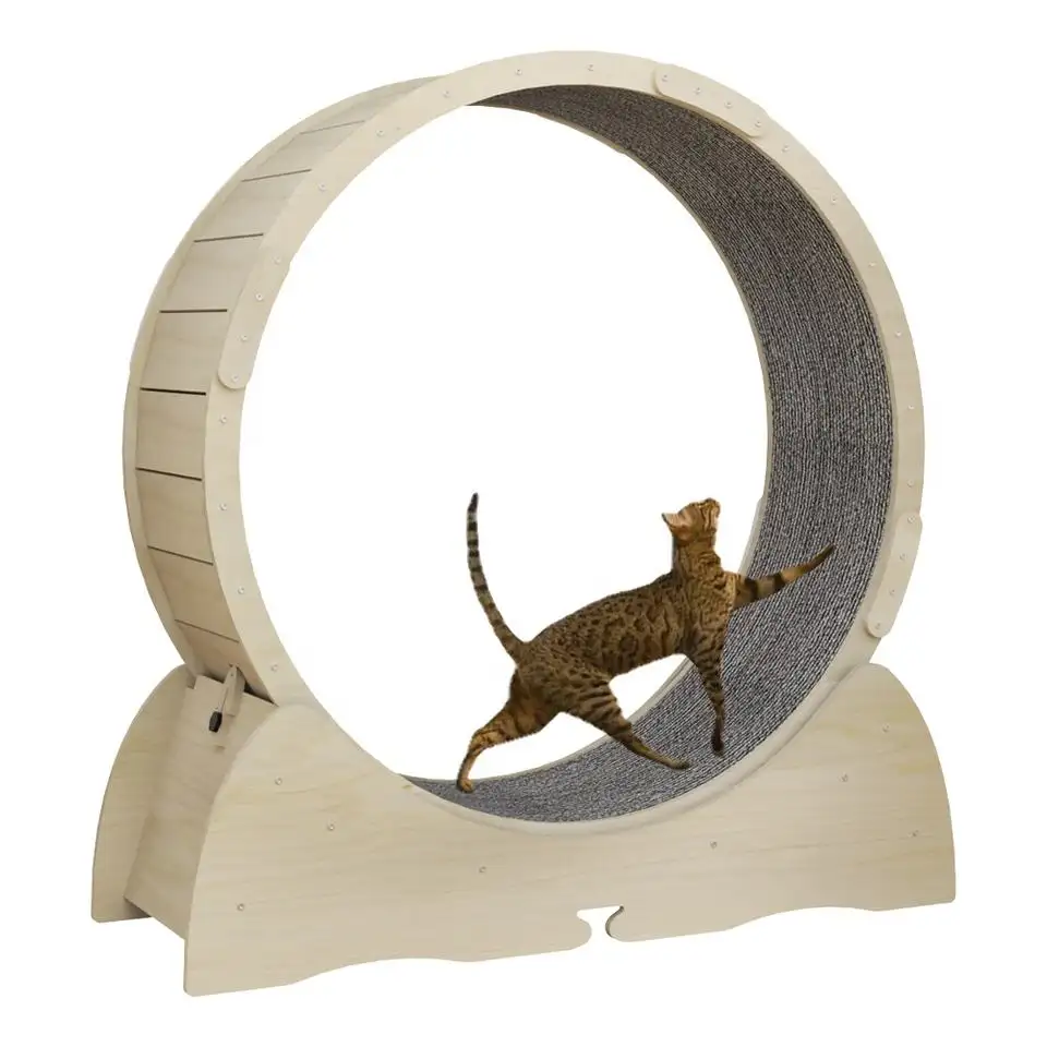 Popüler interaktif egzersiz kedi çalışan tekerlek l sevimli kedi mobilya evcil hayvan oyuncak oyun komik kilo kaybı kedi köpek eğlence koşu bandı
