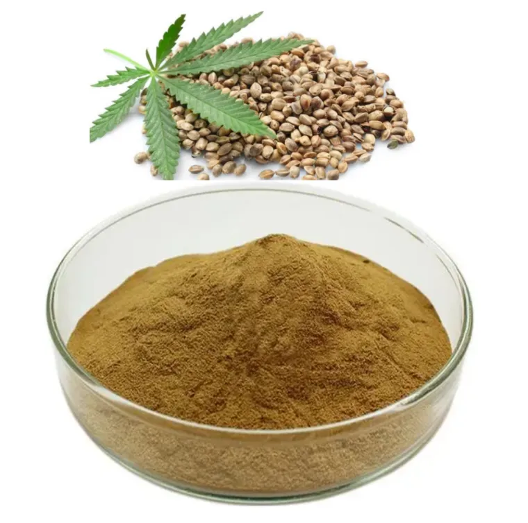 Supply Hemp Kernel Protein 100% Natural Hemp Seed Extract Hemp Protein Powder