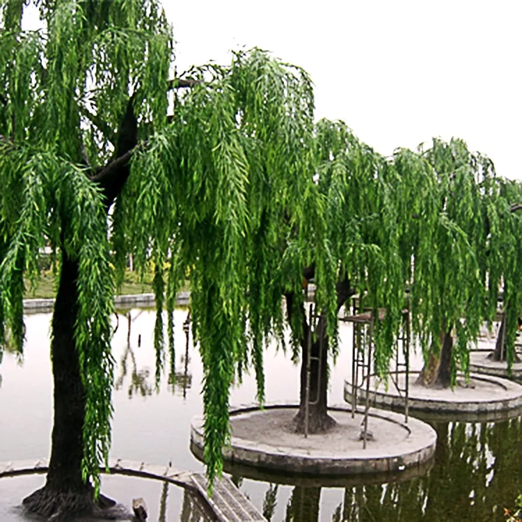 Arbol Artificial,Home Outdoor Garden Ornamental Small and Big Large Branch Drooping Green Plant Artificial Weeping Willow Tree