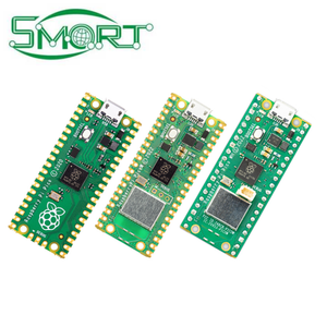 Raspberry Pi Pico scheda di sviluppo, microcontrollore, C ++/Python programming principiante controller