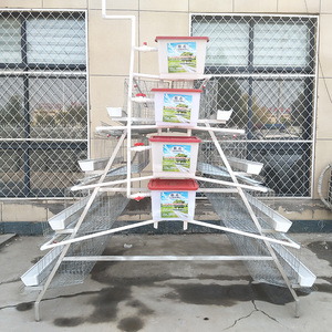 4 katlı 4 kapılı bir tip tavuk kafesi galvaniz ev kullanımı için 128 kuş katman kapasitesi perakende üretim tesisi - Product Image 1