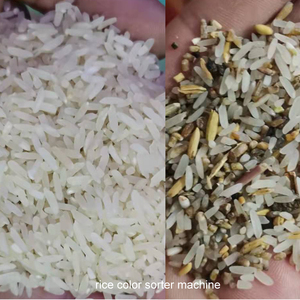 Máquina clasificadora de color de arroz RealTech para clasificación y clasificación de color de semillas de grano de arroz - Product Image 4