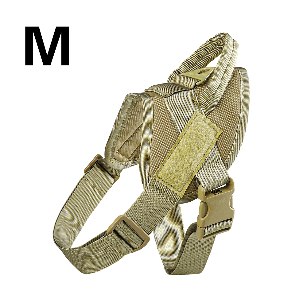 Bronze-M
