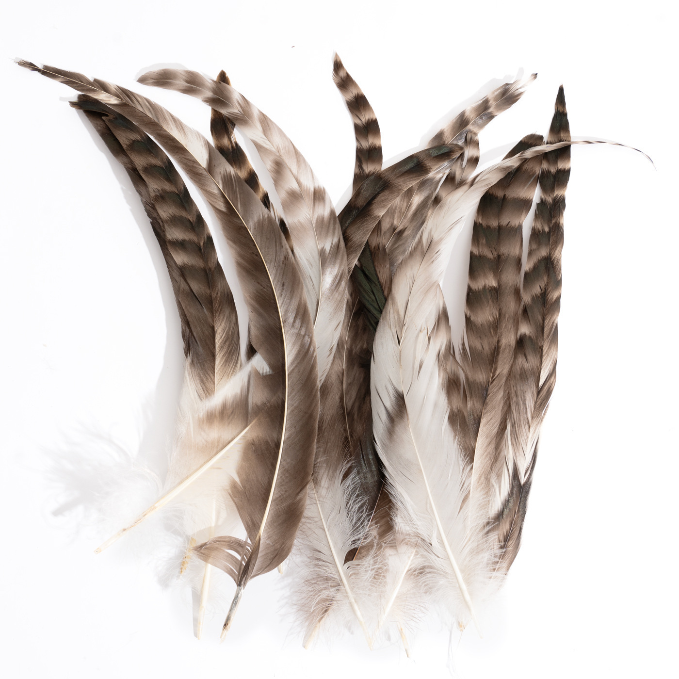 Reed flower tail hair 25-30cm20